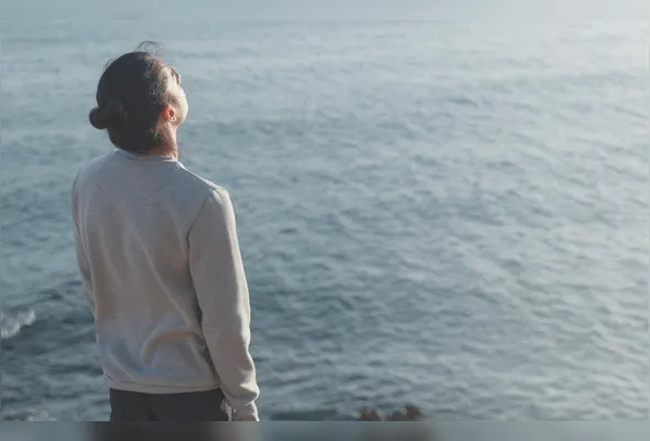 Imagem ilustrativa da imagem Sem inimigos, sem conquistas