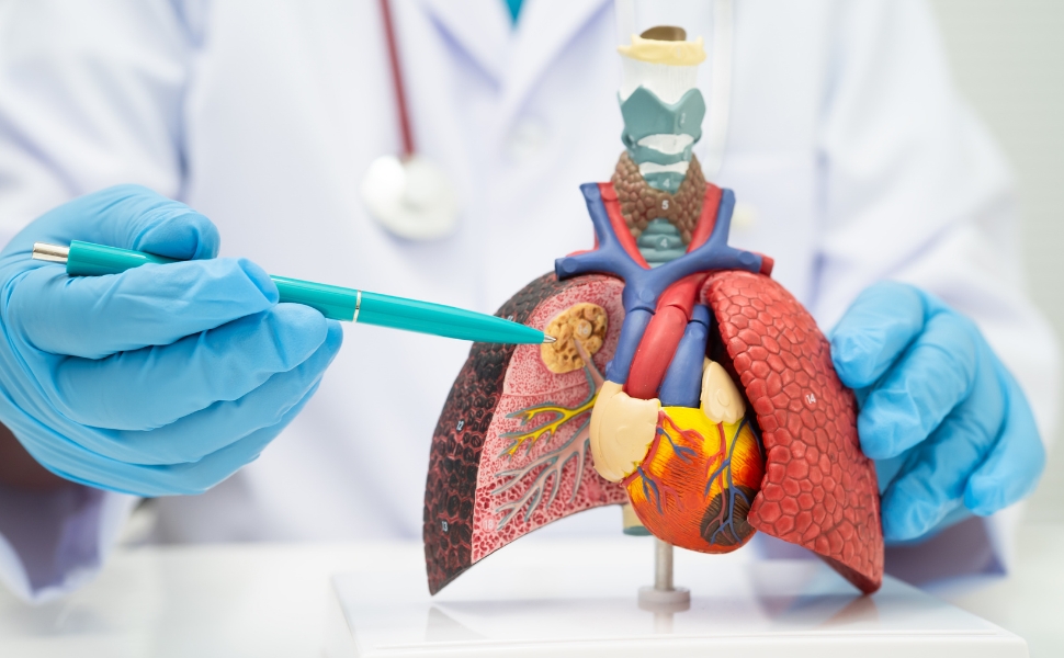 Pneumonia já provocou 190 mortes e 1.200 internações este ano no ES