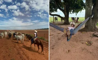 Imagem ilustrativa da imagem Ana Castela planeja pausa na carreira para ajudar o pai na Fazenda