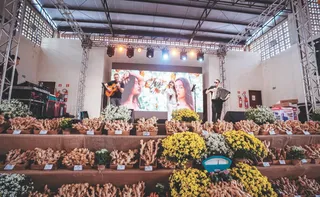Imagem ilustrativa da imagem Festa do gengibre com shows de graça e delícias