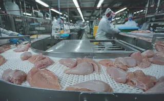 Imagem ilustrativa da imagem Governo do ES estuda doar área para instalação de abatedouro de aves