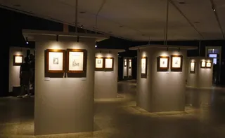 Imagem ilustrativa da imagem Mais tempo para ver obras de Rembrandt em Vitória
