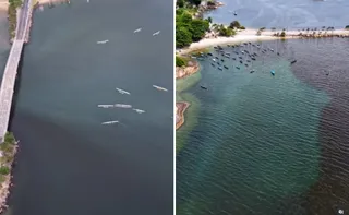 Imagem ilustrativa da imagem Monitoramento conclui que mancha na praia da Guarderia não tem causa única; entenda