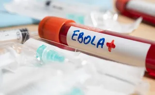 Imagem ilustrativa da imagem Secretário de Trump critica OMS por surto de ebola no Congo: 'Demora'