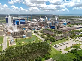Imagem ilustrativa da imagem Suzano abre vagas presenciais no ES para Aracruz, Serra e mais cidades