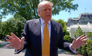 Imagem ilustrativa da imagem Trump chama repórter de 'burra' após pergunta sobre custo de salão na Casa Branca