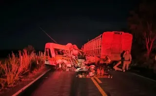 Imagem ilustrativa da imagem Acidente entre van escolar e caminhão deixa 5 mortos em Goiás