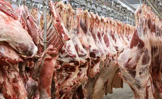 Imagem ilustrativa da imagem China suspende três frigoríficos brasileiros após irregularidades