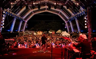Imagem ilustrativa da imagem Domingos Martins recebe Festival de Inverno com música, cultura e turismo