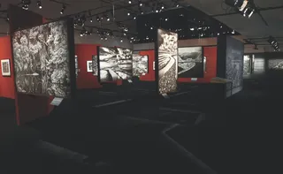 Imagem ilustrativa da imagem Exposição de Sebastião Salgado no Cais das Artes vai até dia 5