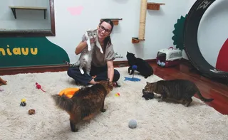 Imagem ilustrativa da imagem Famílias do ES já têm mais de 1,8 milhão de cães e gatos