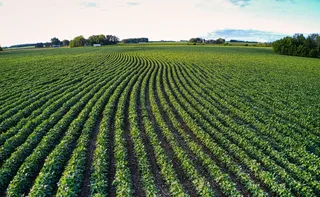 Imagem ilustrativa da imagem Força do campo: agro tem mais de 273 mil empregados no ES