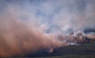 Imagem ilustrativa da imagem Homem é preso por iniciar 'pior incêndio da história' na região de Madri