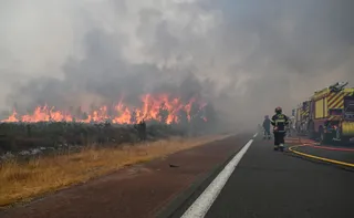 Imagem ilustrativa da imagem Incêndios na Europa obrigam mais de 300 mil pessoas a deixarem suas casas