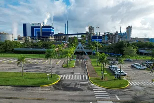 Imagem ilustrativa da imagem Laço emocional transforma trabalho em propósito