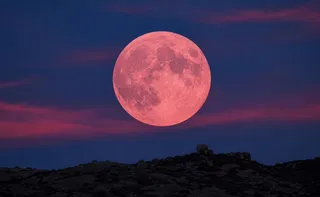 Imagem ilustrativa da imagem Lua de Morango: fenômeno poderá ser visto nesta segunda