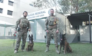 Imagem ilustrativa da imagem Nova geração de cães para ajudar a polícia do ES a combater o crime