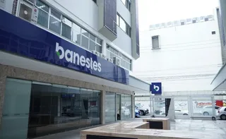 Imagem ilustrativa da imagem Plano Safra: Banestes anuncia R$ 1 bilhão para financiar produtores capixabas