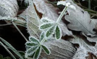 Imagem ilustrativa da imagem Potente massa de ar frio pode trazer neve a dois estados do Brasil. Veja quais