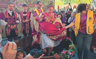 Imagem ilustrativa da imagem Roteiro de festas italianas até o fim do ano no Espírito Santo