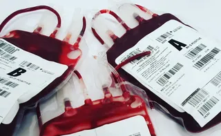 Imagem ilustrativa da imagem Sangue é o alimento da vida