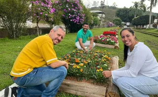 Imagem ilustrativa da imagem Vizinhos plantam mais de 15 mil flores em Marechal Floriano