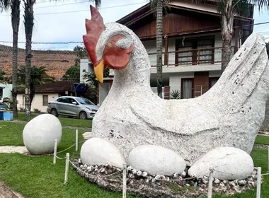Imagem ilustrativa da imagem Casa na árvore, mirante e suíte em forma de garrafão. Veja onde se hospedar