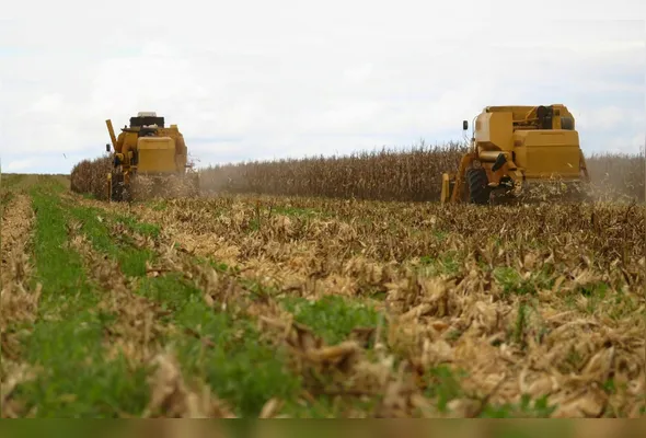 Imagem ilustrativa da imagem A Copa do agro já é nossa