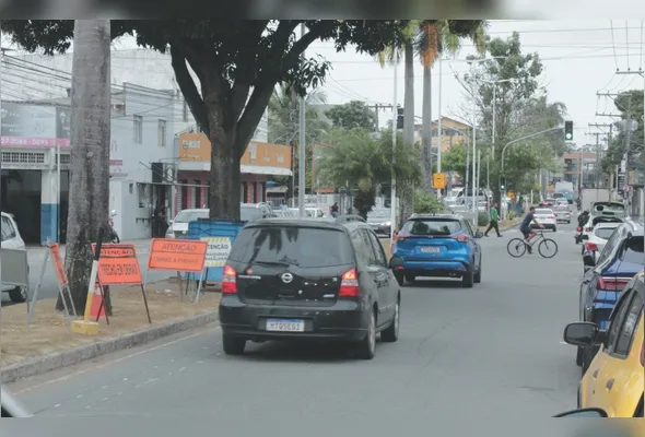 Árvores serão preservadas e vão permanecer no canteiro central