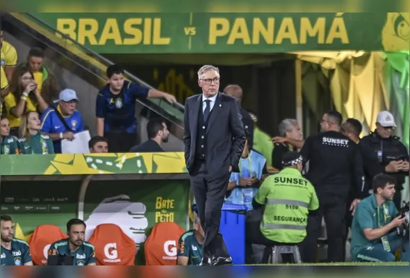Imagem ilustrativa da imagem Brasil no bolo