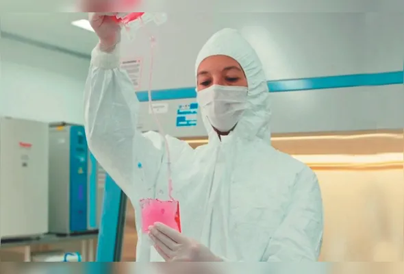 Bolsa com células CAR-T: projeto prevê a infusão em 81 pacientes até
o fim do ano