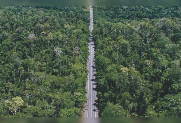 Trecho da BR-101 que atravessa a Reserva Biológica de Sooretama concentra ações de monitoramento para reduzir acidentes e conscientizar motoristas sobre os riscos do excesso de velocidade