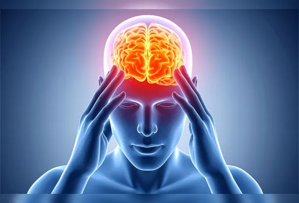 Imagem ilustrativa da imagem Conexão entre intestino e cérebro