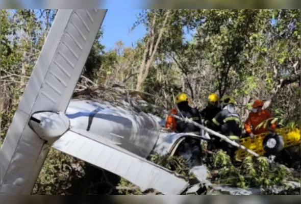 Avião de pequeno porte caiu na manhã deste sábado (18)