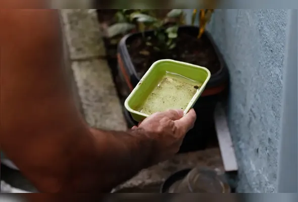 Imagem ilustrativa da imagem El Niño pode aumentar casos de chikungunya e dengue no Brasil