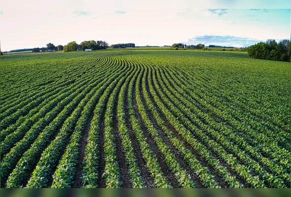 Imagem ilustrativa da imagem Força do campo: agro tem mais de 273 mil empregados no ES