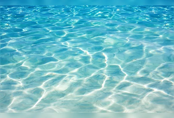 Imagem ilustrativa da imagem O oceano e a água