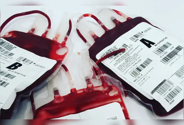 Imagem ilustrativa da imagem Sangue é o alimento da vida