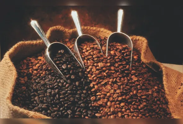 Grãos de café, produto que foi excluído da nova tarifa e que é um dos principais itens da economia do Espírito Santo