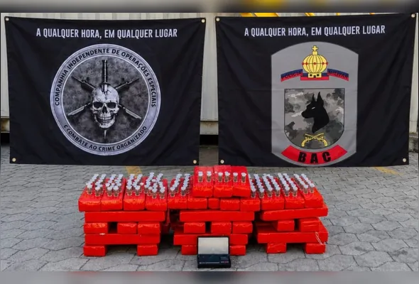 Ação CIOE com apoio do Batalhão de Ações com Cães ocorreu em Jabaeté