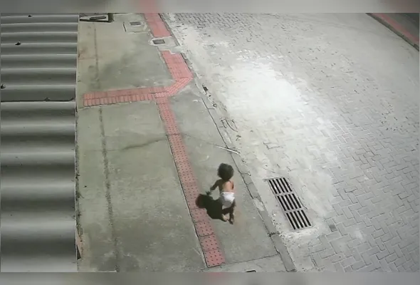 Imagem ilustrativa da imagem VÍDEO: bebê é encontrada engatinhando sozinha em rua de Vila Velha