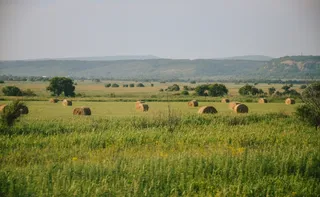 Imagem ilustrativa da imagem Dívida rural: o que a MP 1.376 muda, na prática