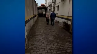Imagem ilustrativa da imagem Empresária é presa em Guarapari suspeita de envolvimento com abuso sexual infantil