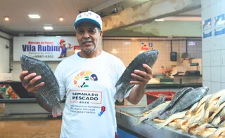 Imagem ilustrativa da imagem Pescado com desconto de até 30% chega a peixarias e restaurantes do ES