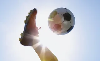 Imagem ilustrativa da imagem Só a ciência salva