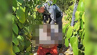 Imagem ilustrativa da imagem Suspeito de feminicídio em Linhares é preso em Fundão pela polícia