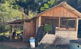 Imagem ilustrativa da imagem Justiça manda Domingos Martins agir para proteger animais em canil