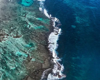 Imagem ilustrativa da imagem Dia mais quente da história dos oceanos é registrado com El Niño recorde