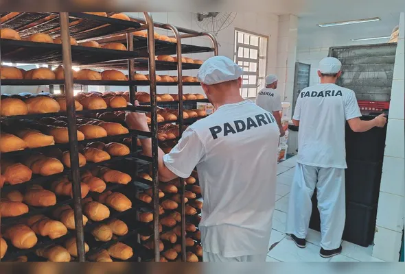Detentos durante o trabalho: lei estabelece o desconto de um dia de pena a cada três dias de trabalho
