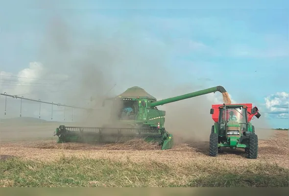 Colheita de soja no Norte do Espírito Santo, onde a produtividade média chegou a 80 sacas por hectare nos últimos dois anos